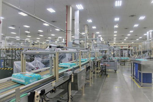 湖北高新技術產業與家政服務創新比翼齊飛，引領區域高質量發展