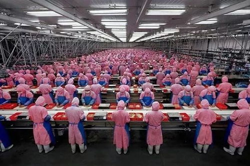 15萬中國人涌入，9000家紡織廠遍地開花 這個非洲小國的日用品銷售為何如此火爆？